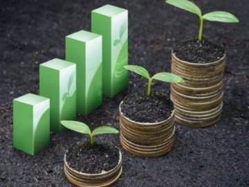 اما و اگرهای کمبود کود شالیکاران در مازندران