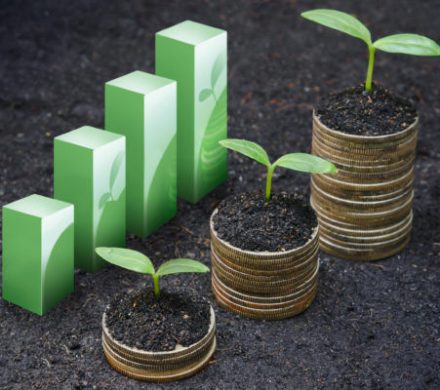 اما و اگرهای کمبود کود شالیکاران در مازندران