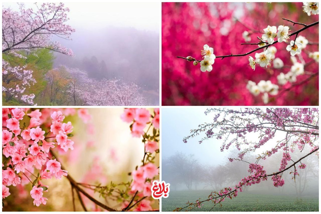 به جای عبور؛ مازندران را زندگی کنیم