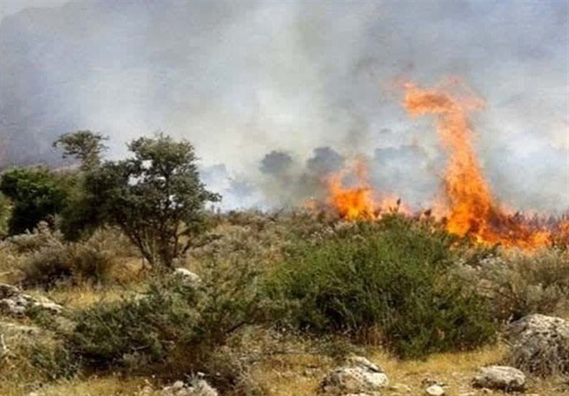 آتش‌سوزی در ۳۰ هکتار‌ اراضی جنگلی بخش کلباد گلوگاه