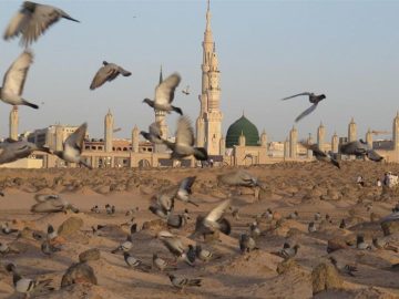 راز اختلاف در تاریخ شهادت حضرت زهرا(س)