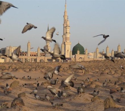 راز اختلاف در تاریخ شهادت حضرت زهرا‌(س)