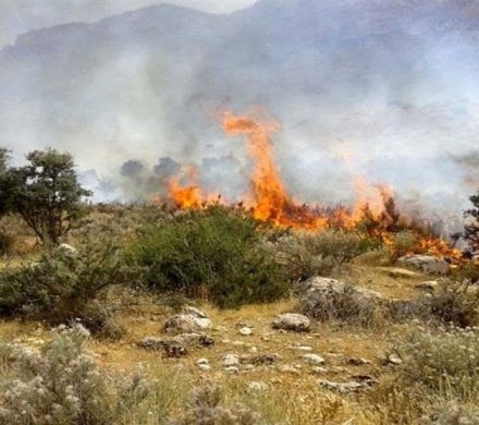 تازه‌ترین اخبار از عملیات اطفای حریق جنگل‌های الیت