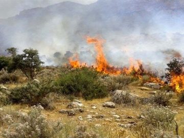 آتشسوزی در جنگلهای الیت