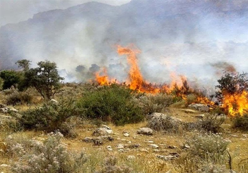 آتش‌سوزی در جنگل‌های الیت