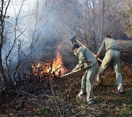 آتش سوزی سریالی در جنگل های شمال