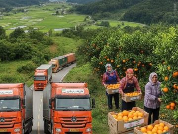 پوستاندازی باغهای شمال تا میوههایی که جهانگیر میشوند!