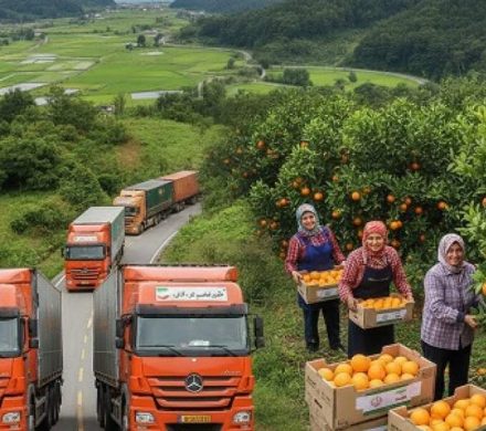 پوست‌اندازی باغ‌های شمال تا میوه‌هایی که جهان‌گیر می‌شوند!