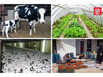 ۴/۵ میلیارد تومان اشتغالزایی و پیوند نسلها