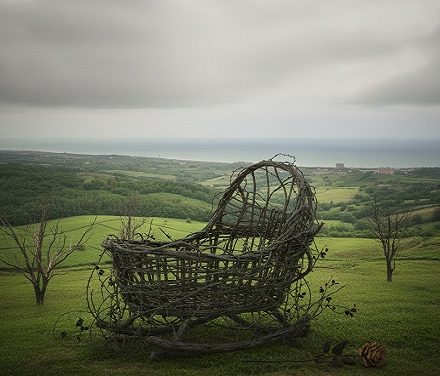 وقتی زاد و ولد به مرز هشدار می‌رسد!