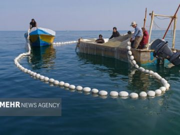 مسیر هوشمندسازی آبزیپروری در مازندران شتاب میگیرد