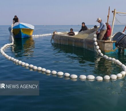 مسیر هوشمندسازی آبزی‌پروری در مازندران شتاب می‌گیرد